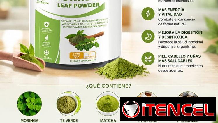 Moringa + Matcha y Vitaminas en polvo original