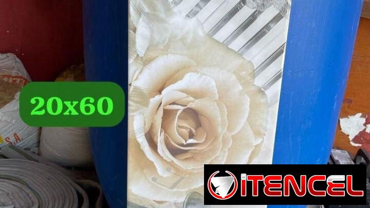 Losas de 20 x60 importado maxima calidad