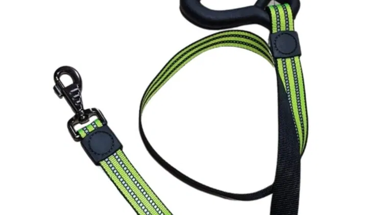 COLLARES +CORREAS + PECHERAS PARA GATOS Y PERROS