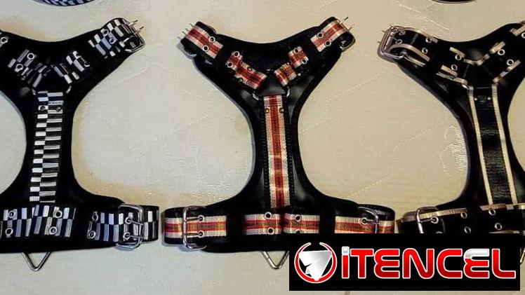 Perchera para perros tipo Y