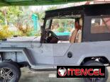 Se vende JEEP WILLY