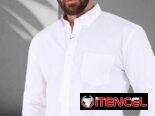 Camisa mangas largas