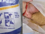 Vendo piensos para puercos y gallinas ponedoras 56 70 29 86