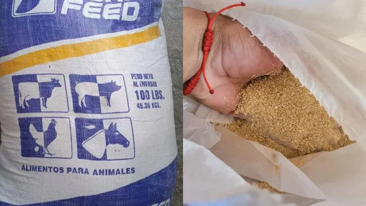 Vendo piensos para puercos y gallinas ponedoras 56 70 29 86