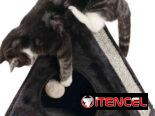 RASCADORES PARA GATOS 🐱  DOG&CAT