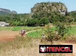 ⚡️🏇Renta casa con paneles solares en Viñales⚡️/Alquila casa en Viñales/Rent a house/Accommodation