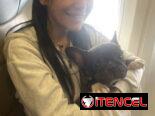 Agencia de viaje “isla pet travel”