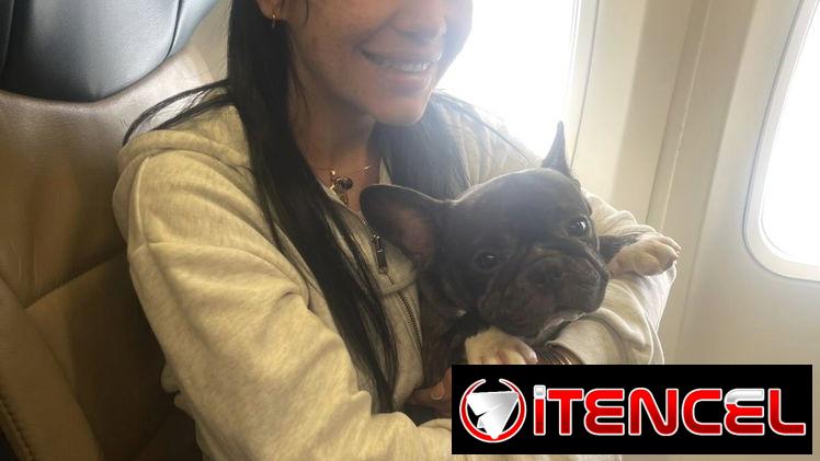 Agencia de viaje “isla pet travel”