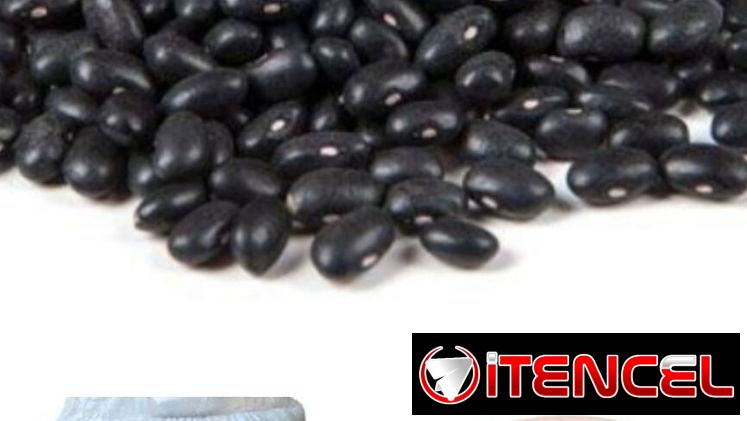FRIJOL NEGRO