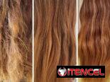 Set de shampu reparador intensivo original de farmasi