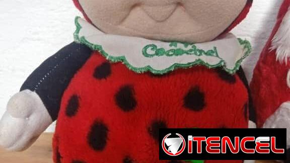 Muñeca de Peluche.