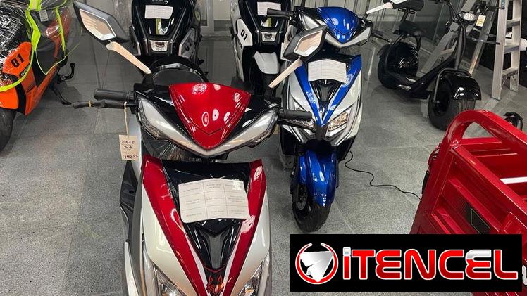 Moto eléctrica panda (2450)
