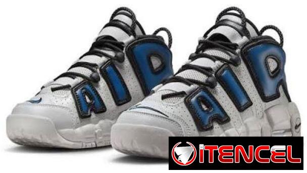 Tenis nike originales #40