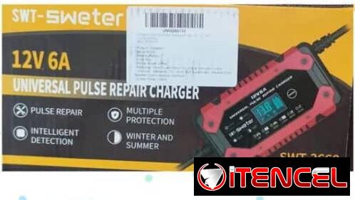 Cargador de 12V inteligente LifePO4