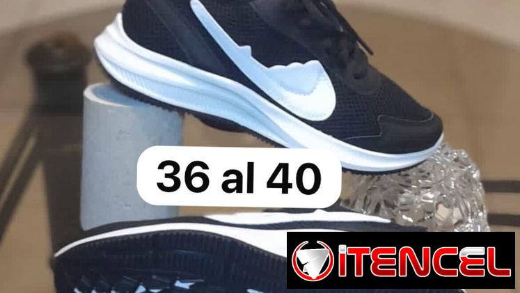 Tenis