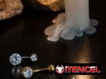 Piercings y Perforaciones