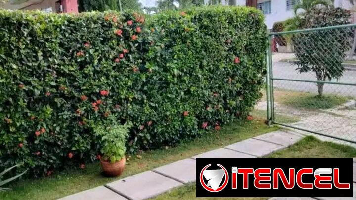 Hermosa casa en el Mónaco