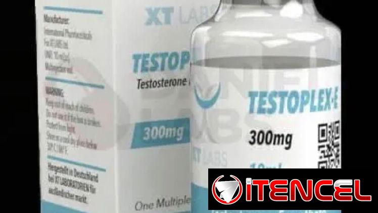 Testosterona
