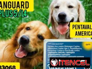 5a523ca3c68c23c90fd09c50399ee4dc9760c07f1af06b05d10a4f7a38ac1a8e