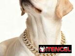 Collar de diamante para Mascotas