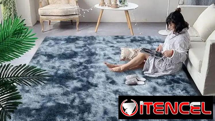 Alfombra Decorativa(THog)