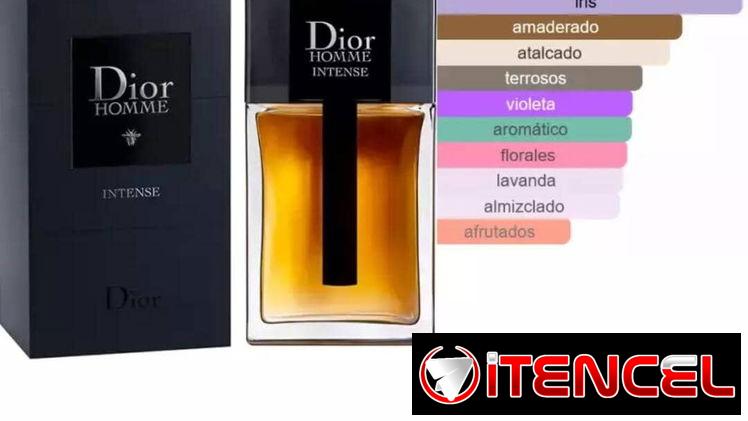 Christian Dior HOMME INTENSE