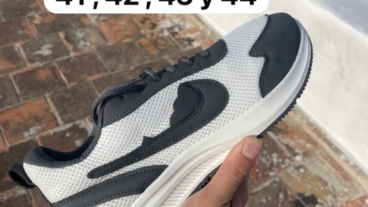 Tenis