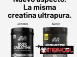 ✔️creatina en polvo MuscleTech Platinum
