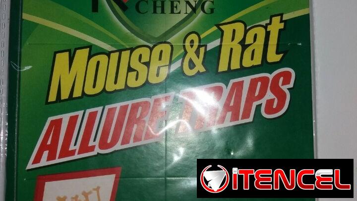 Trampas de pegamento para ratones