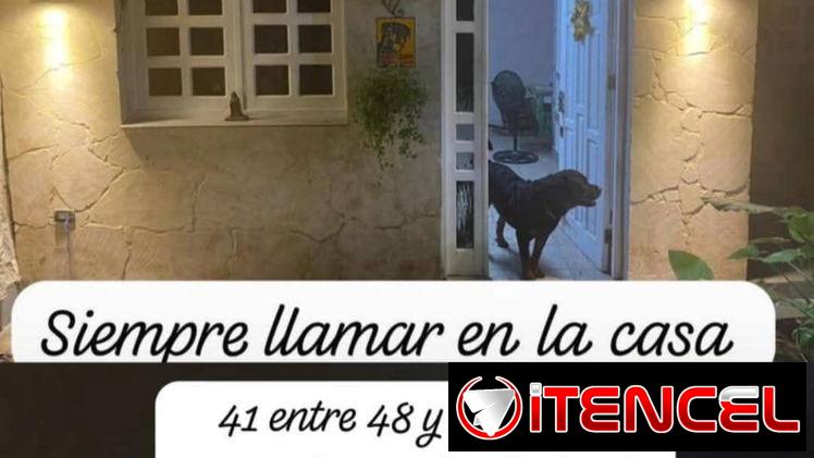 Vinil isaval 4 litros blanco coco importadas de España en nuestro almacén en playa