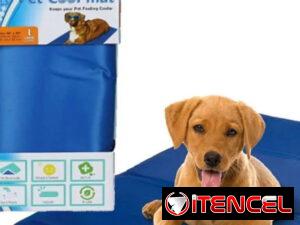 5cdd2eda8c36135ed4f019bb70af5f588362051e2d8cd685a7dc341b8df751bb
