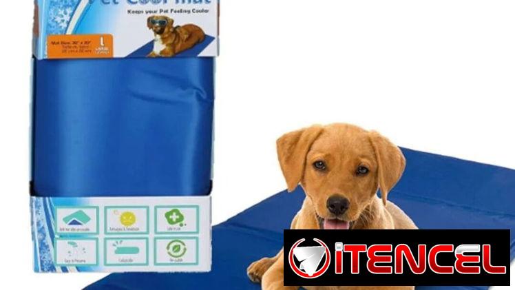 Cool Mat manta Refrigerante para Perros