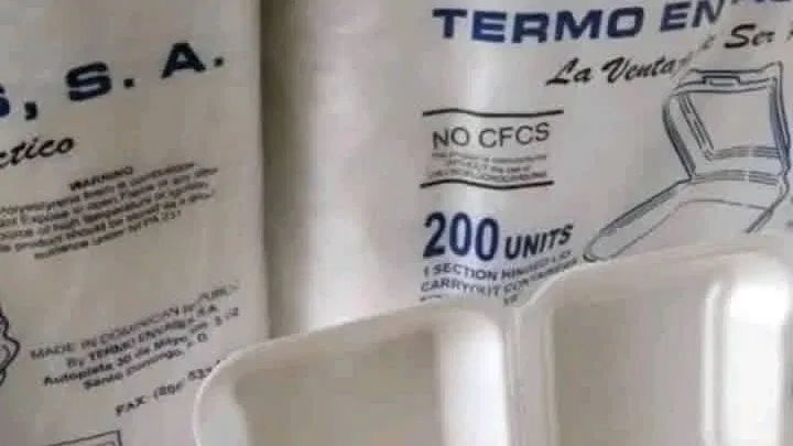 ENVASES DESECHABLES: TERMOPACKS, VASOS, DOMOS