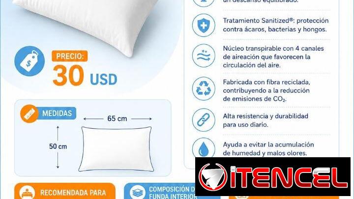 ALMOHADA HOLLOFIL