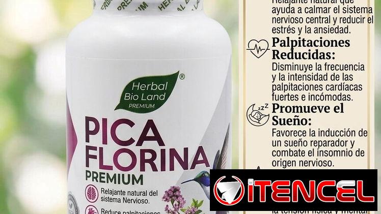 Medicamento Producto natural