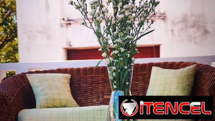 🧺Apartamento Exclusivo con 3 Habitaciones en el Corazón del Vedado REF 1362