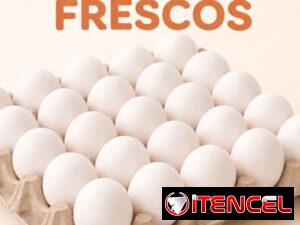 5ee18c57389fa429146dd9fb61a56be7a246c5da729ca8173b715e2fd7f24da4
