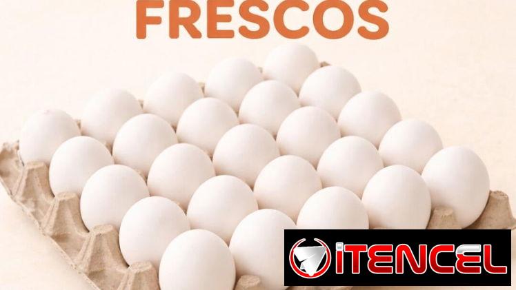 Venta de huevos