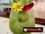 Bartender Profesional
