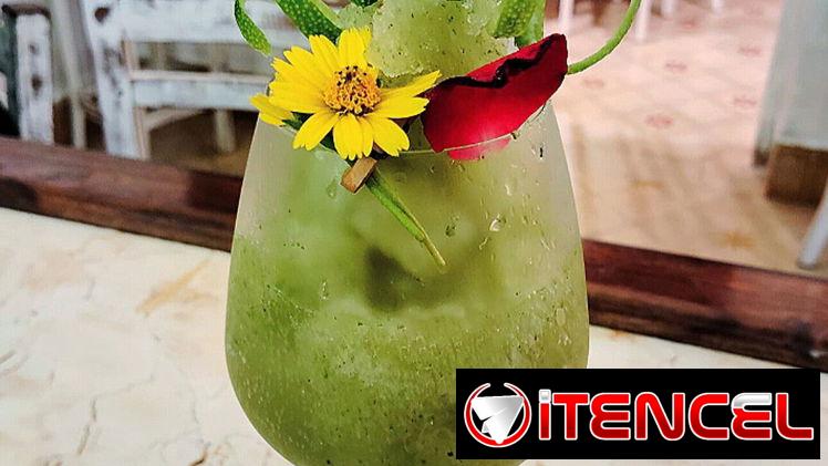 Bartender Profesional