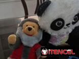 Venta de Peluches nuevos