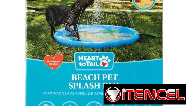 Piscina para Perros 🐕