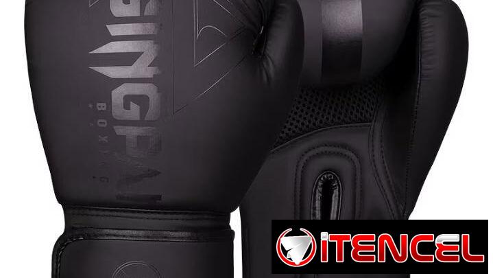 GUANTES DE BOXEO