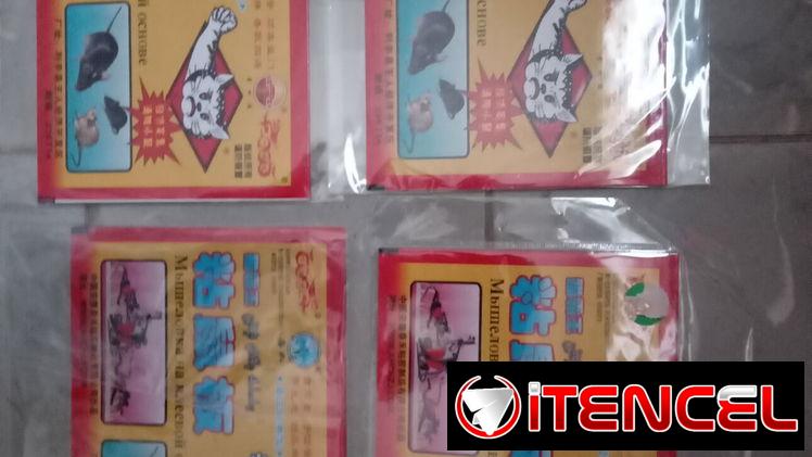 Estuche con 2 trampas adhesivas para ratones. Son grandes