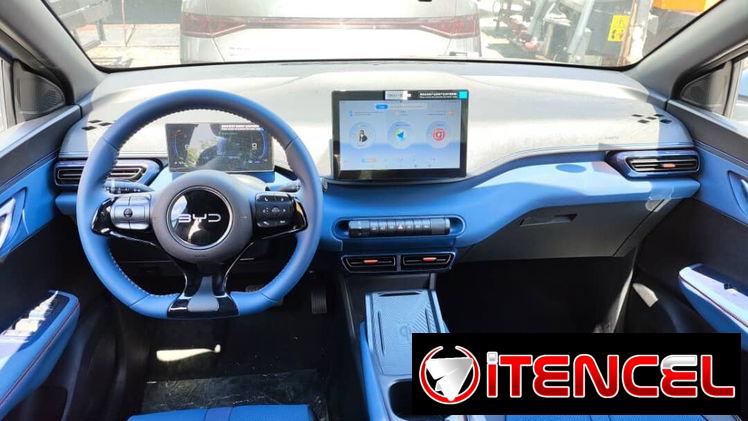Vendo o negocio byd seagull eléctrico, 2026 con 430 km autonomía
