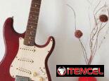 Guitarra eléctrica cuerdas de guitarra eléctrica cuerdas de guitarra acústica correa de guitarra y mucho mas