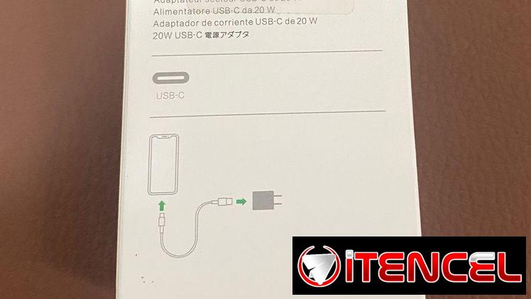 Espiga Apple Tipo C 20W