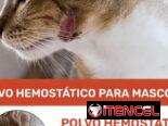 Polvo Hemostático para Mascotas