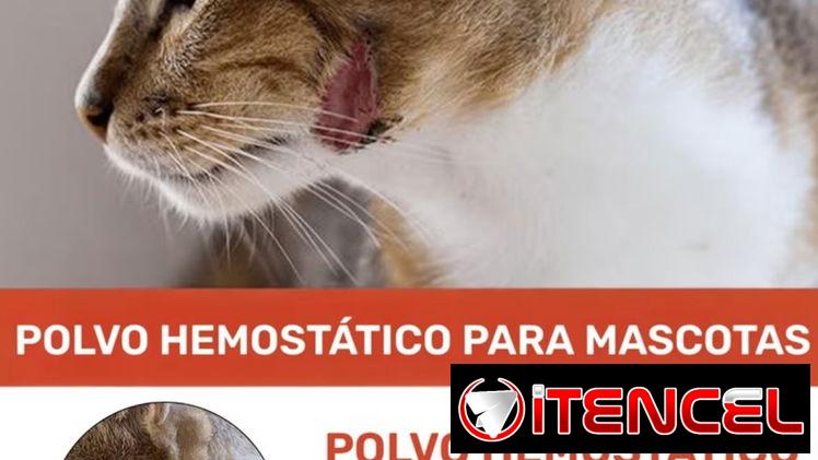 Polvo Hemostático para Mascotas