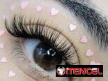 Estudio de Belleza Mels Madus Brows and Lashes (52 /27 y 29) Playa